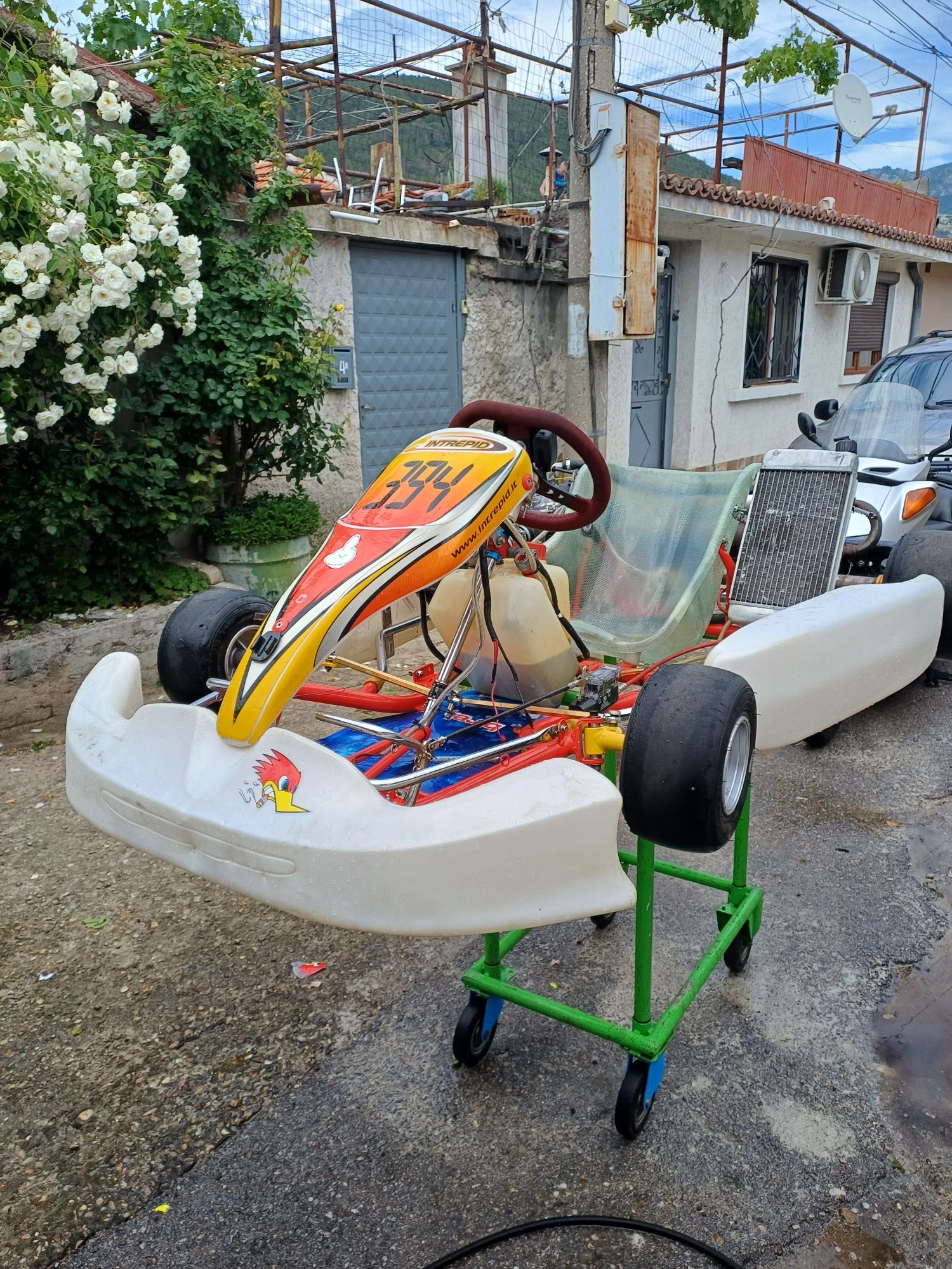 Картинг Rotax.       .