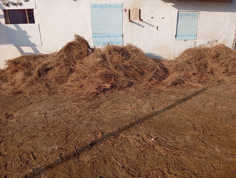 Сено сено сено сено