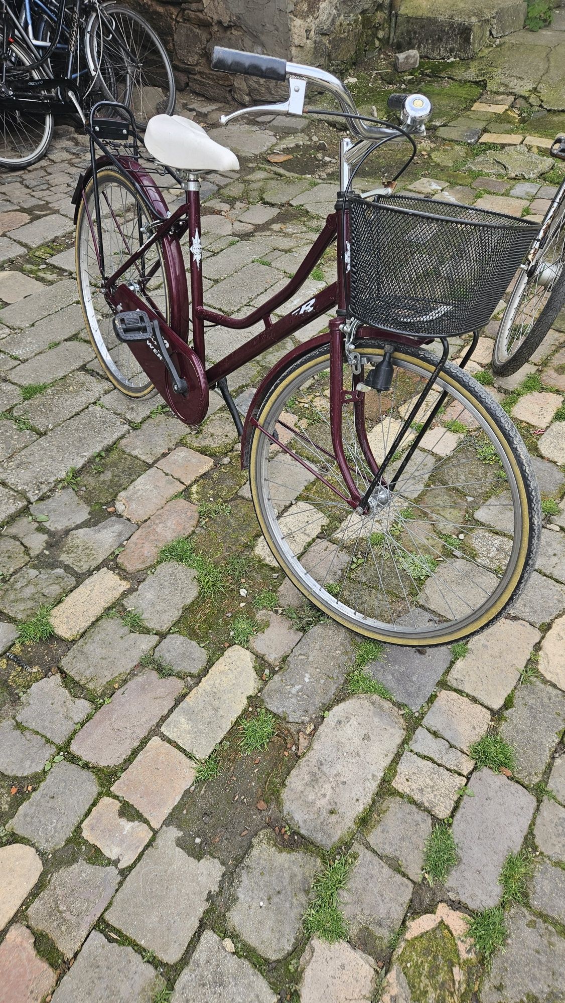 Biciclete olandeze