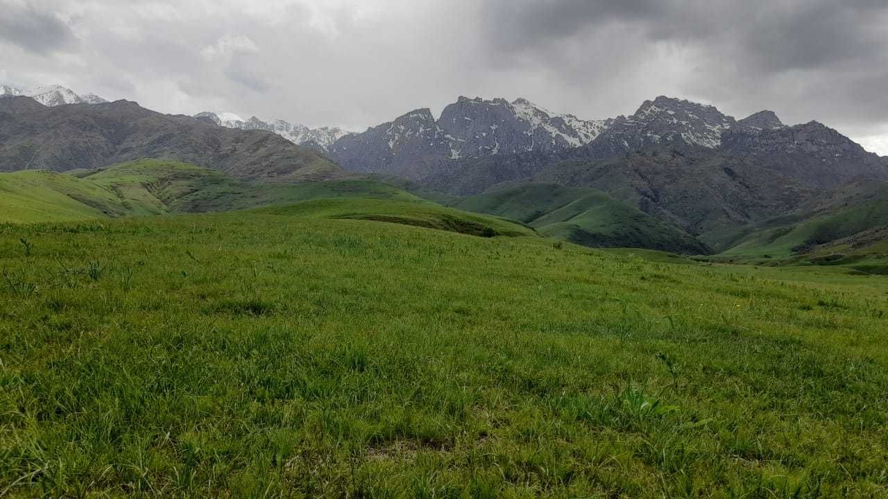 Продаётся фазенда паздбищным угодием в горах