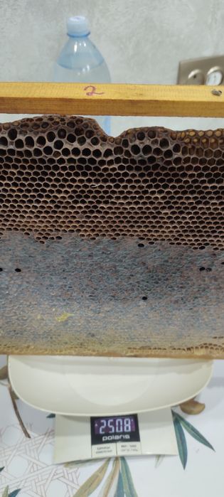 Продам свежий мёд и мёд в рамках