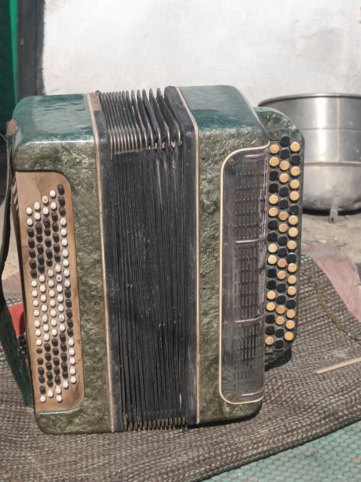 Музинструмент Баян