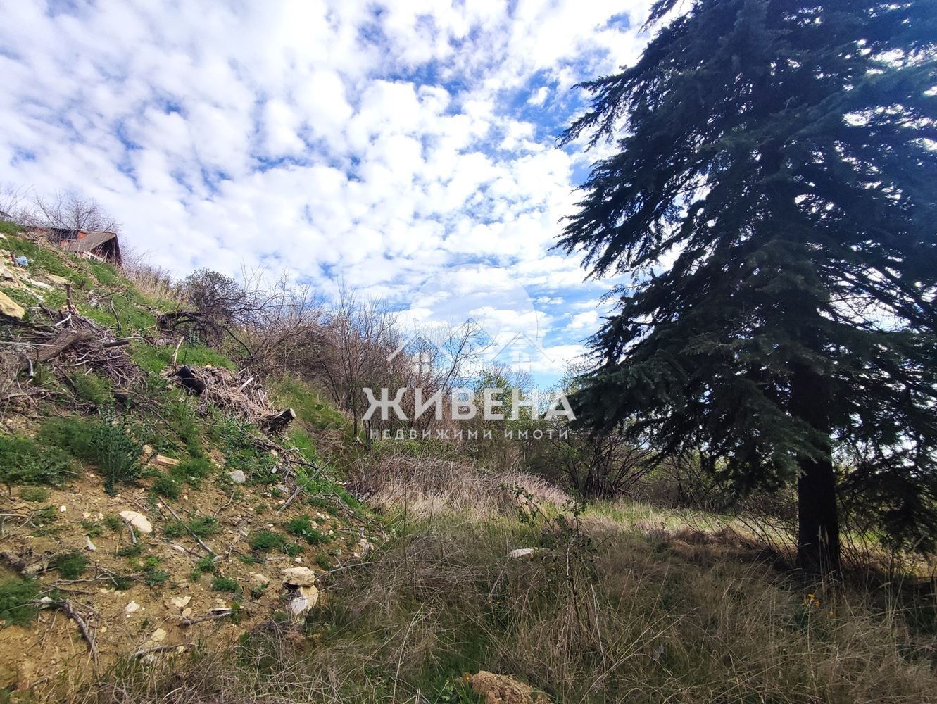 Парцел в м-ст Панорама I-II-III,  над к.к. Златни пясъци, площ 524 кв