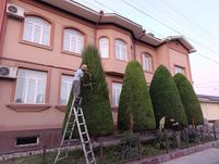 Archa Kesish Dorillash va Gazon ikkish Daraxtlarga shakil berish