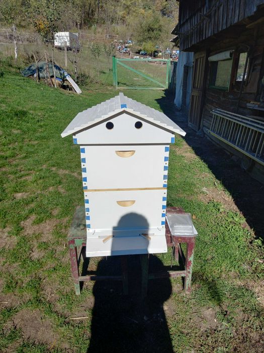 stup de albine HOBBY Miere necentrifugata.