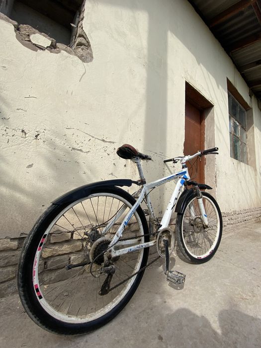 velosiped holati yanggi