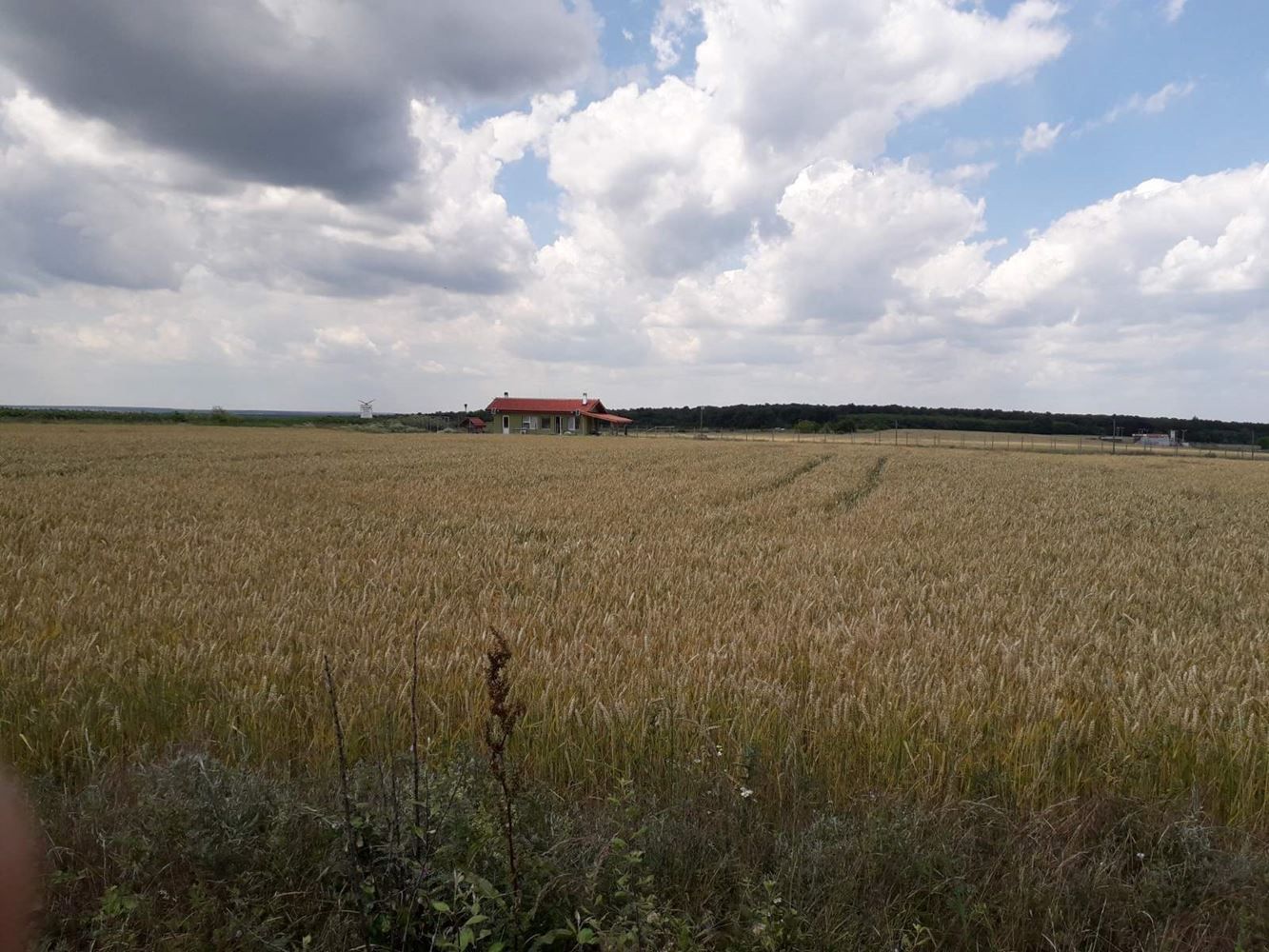 Парцел в Варна, област-с.Кичево площ 7000 цена 175000