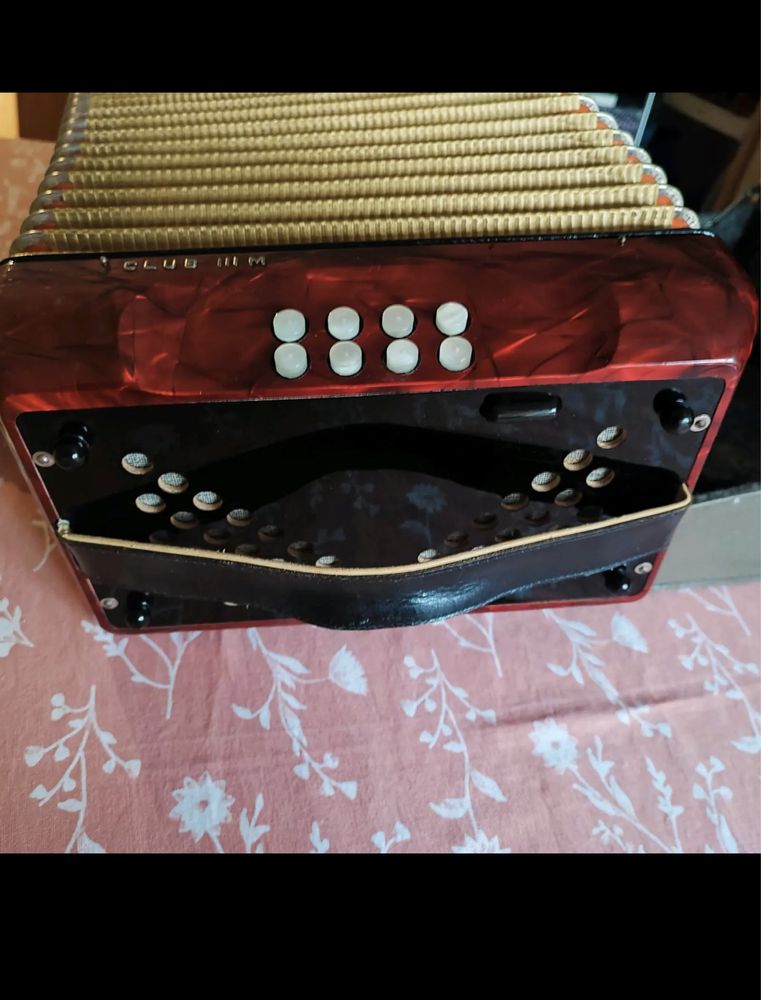 Acordeon in stare perfecta