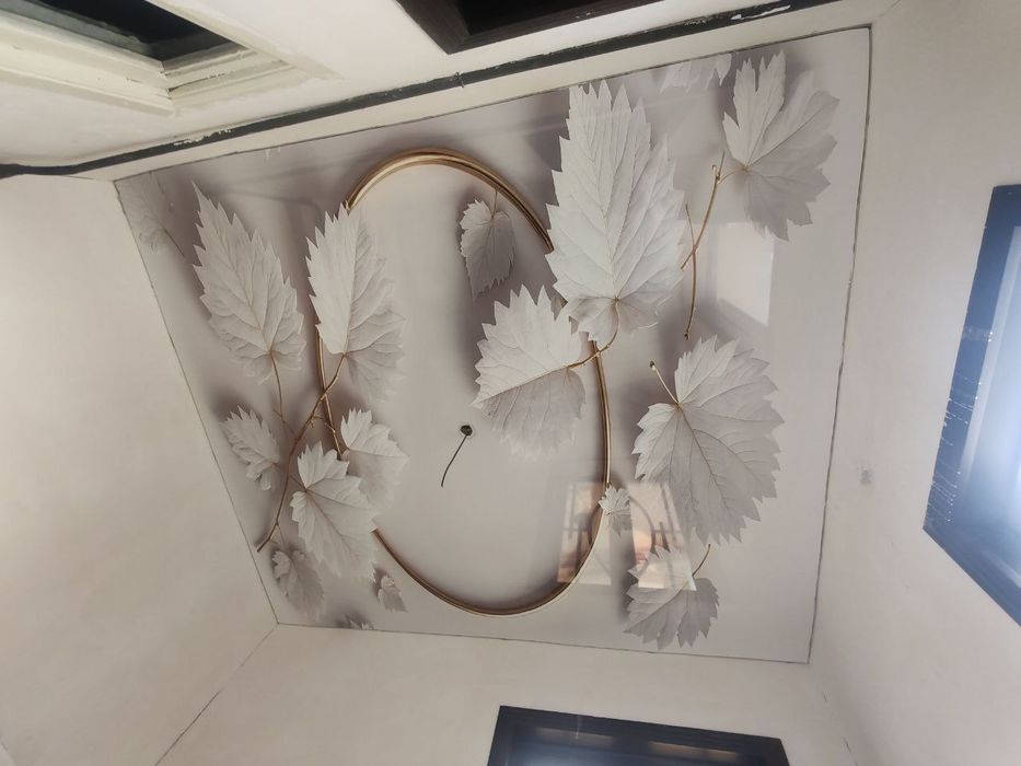 натяжной паталок фото обой