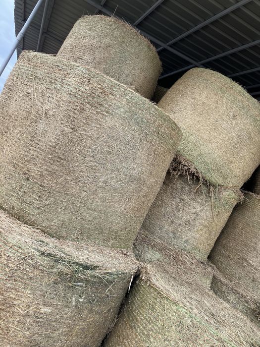 Baloti lucerna verde OFER TRANSPORT