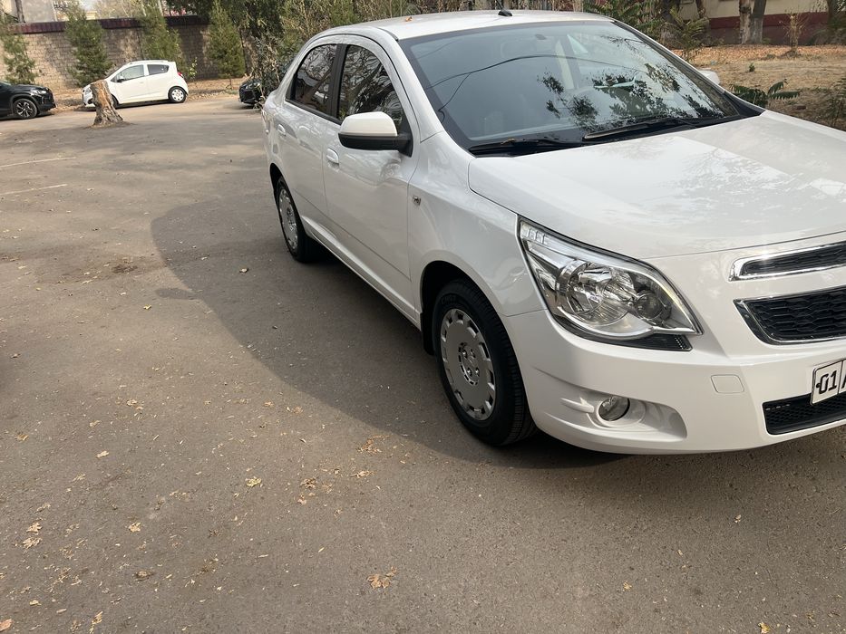 кобилт 3 поцитзия 2015