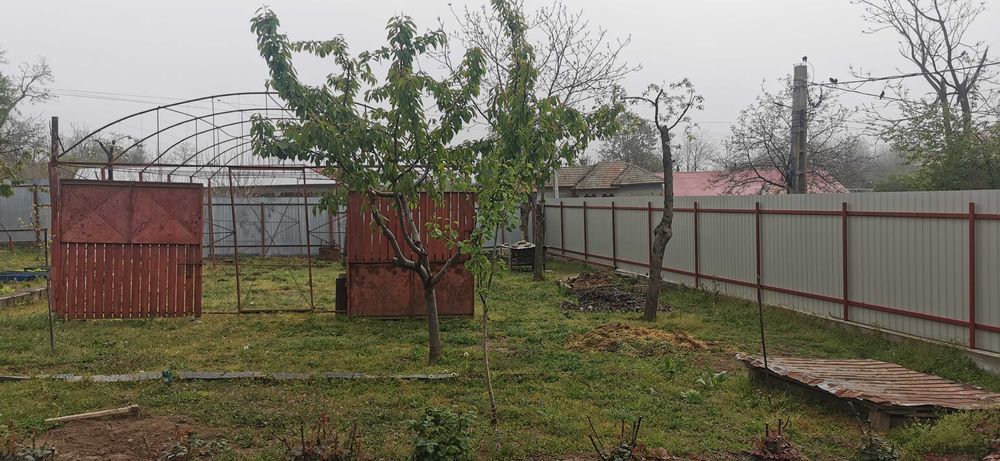 Vand casa in Pietrosani - Teleorman