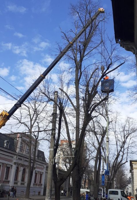 Alpinism Utilitar/Tăiere Arbori/Intervenții 24/7.