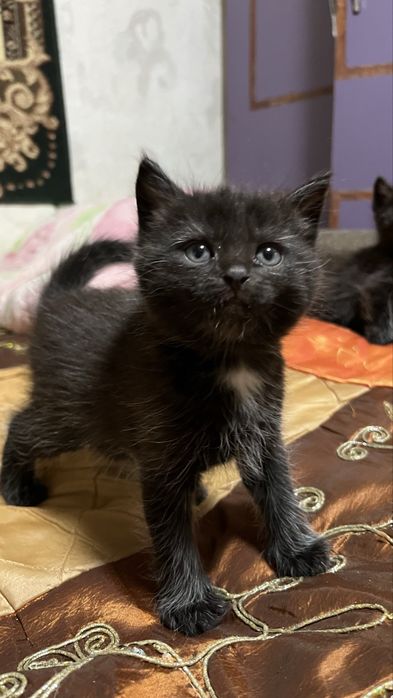 Хороший друг для Вас