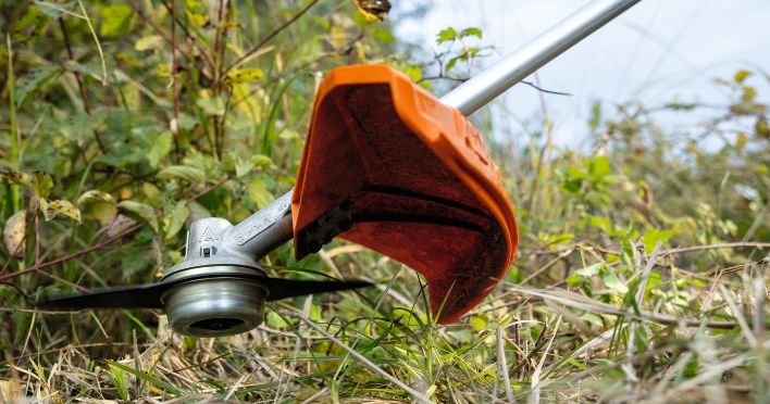 Gradinarit  Gazon Garduri Vii