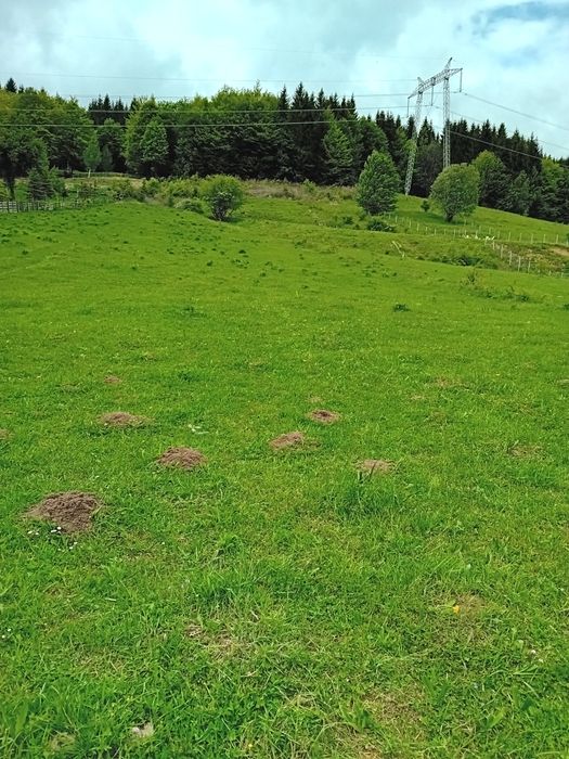 Vând teren intravilan Valean Doftanei zona poduri