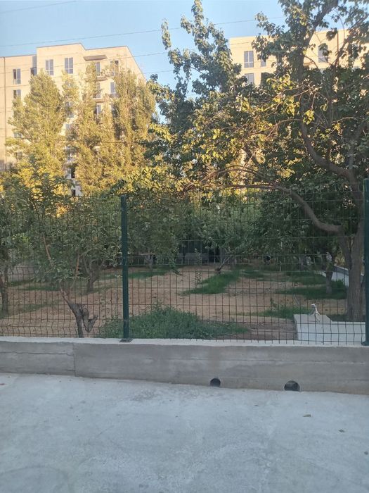 Zenith zavod tiklanish BEZ MAKLER