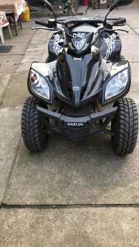 ATV 300 cc D-N-R