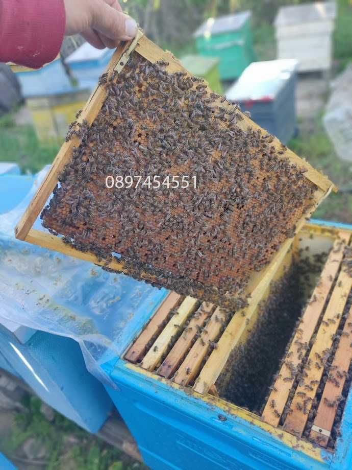 Отводки, Малки пчелни семейства