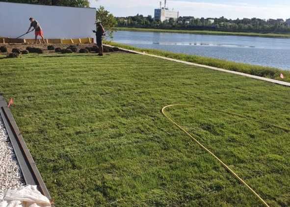 Sisteme de Irigare si Gazon Rulou