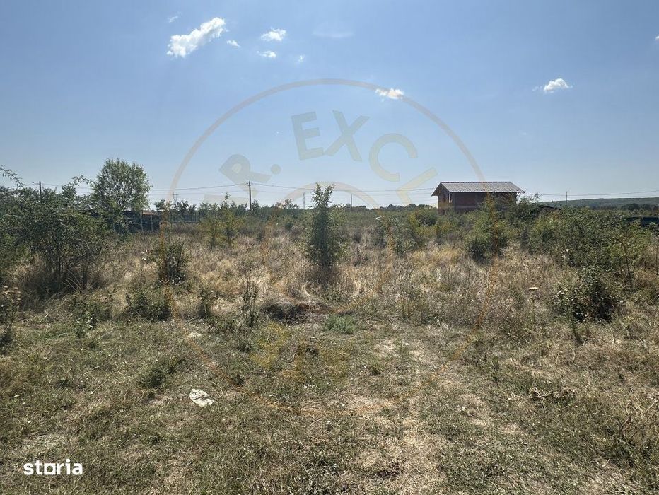 Teren Intravilan Magic Trivale - Aleea Bradului  1040 mp