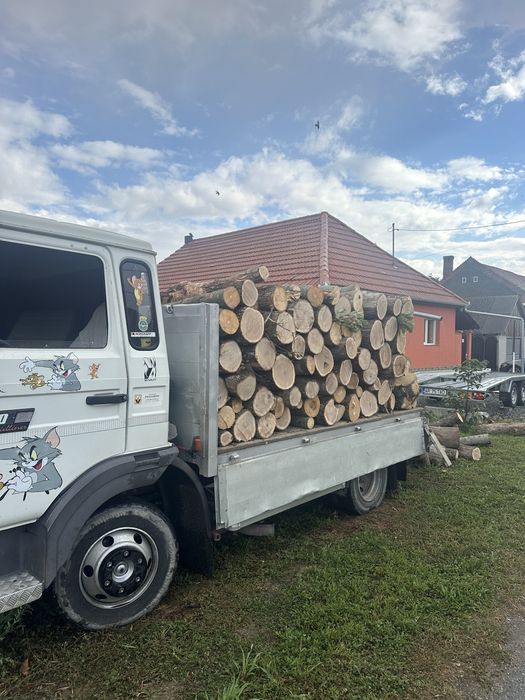 Lemne de foc esenta tare