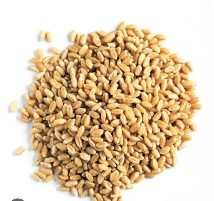 Зерно в мешках хорошего качества