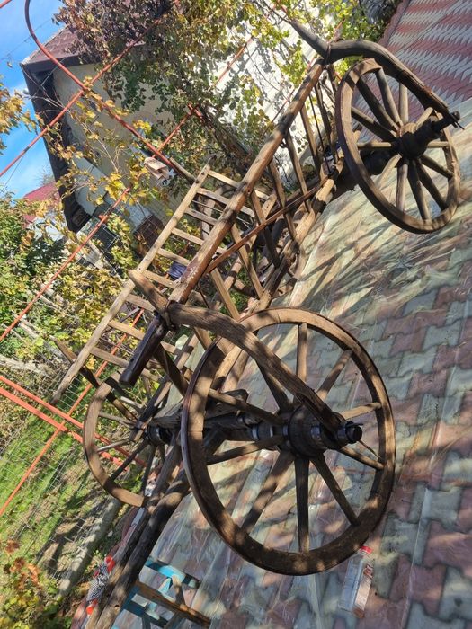 Car rustic vechi de peste 100 de ani!