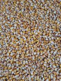 Cereale : porumb, grâu, ovăz (în cantități mari),orz, fl soarelui.