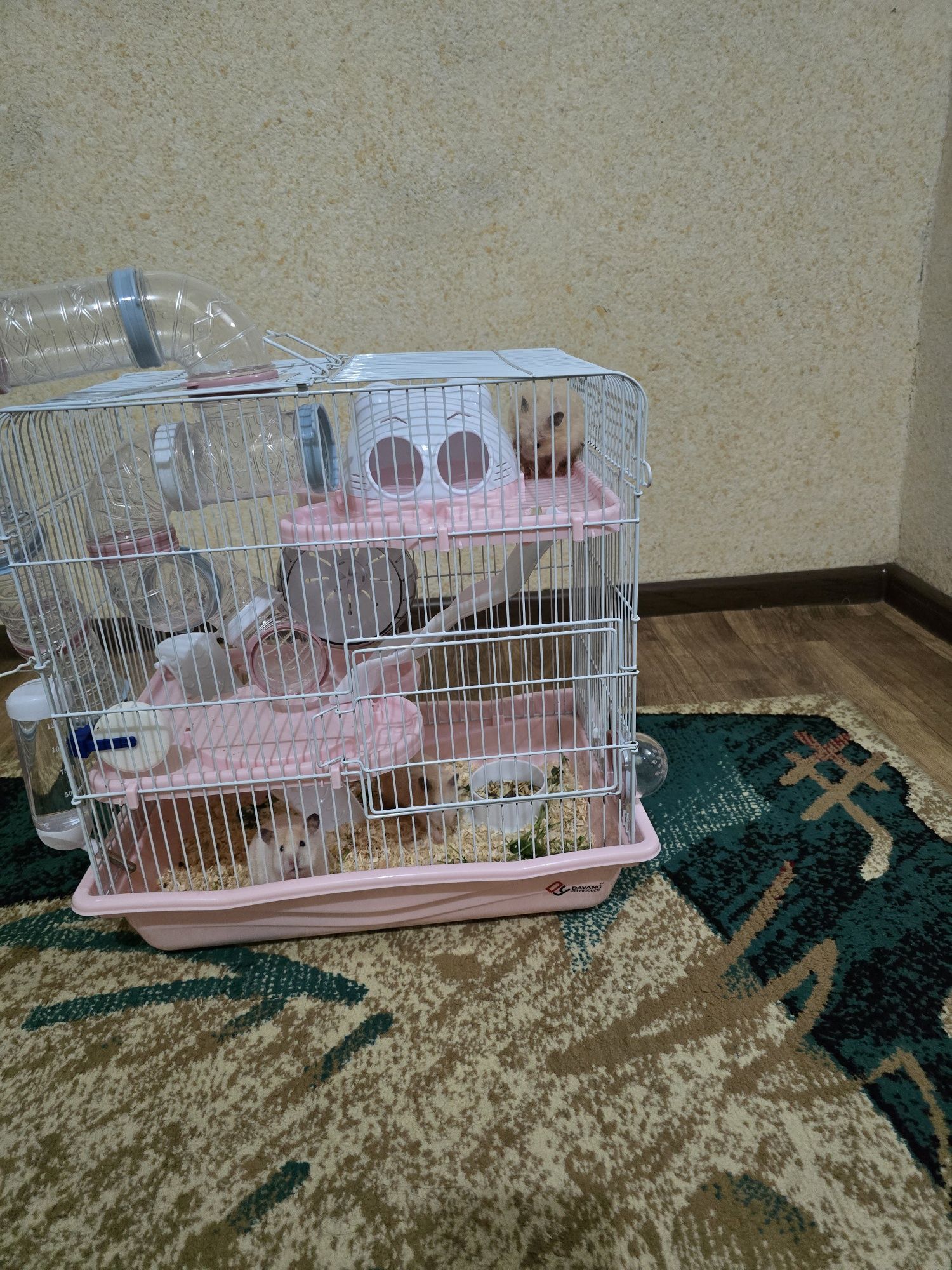 3 хомяка с клеткой