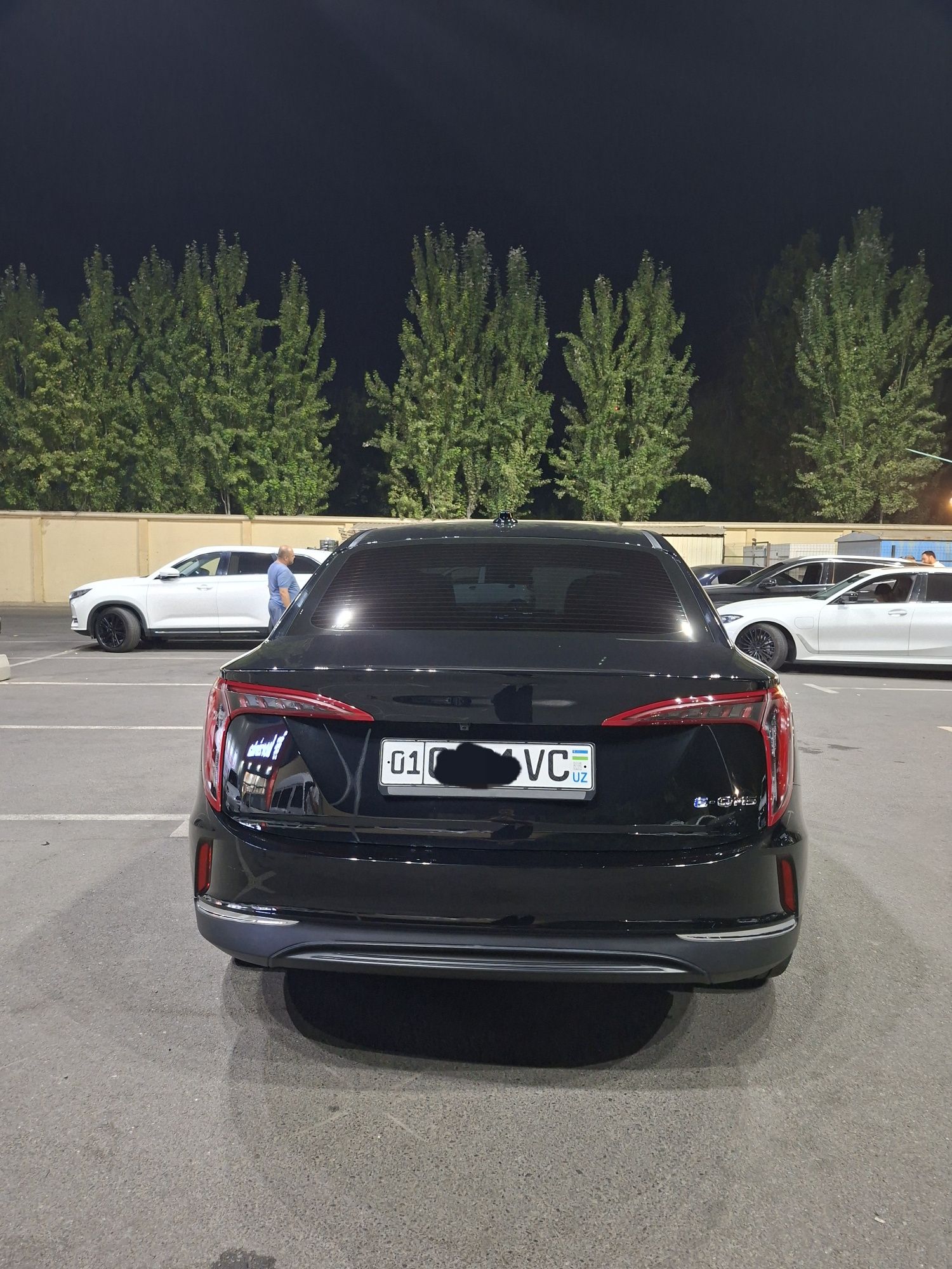 Hongqi EQM5 Sotiladi