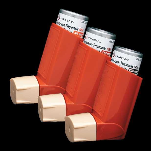 Fluticasone Propionate Inhalation Aerosol 220 mcg,Prasco