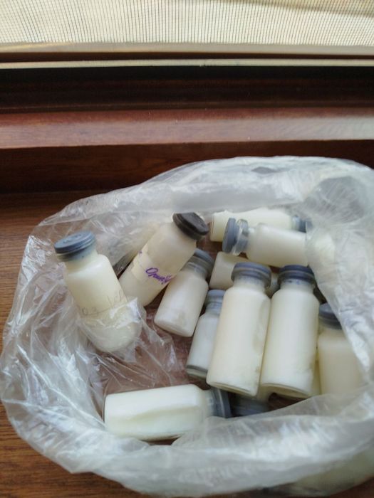 Гусиный жир, гоз мойи, g'ozmoyi