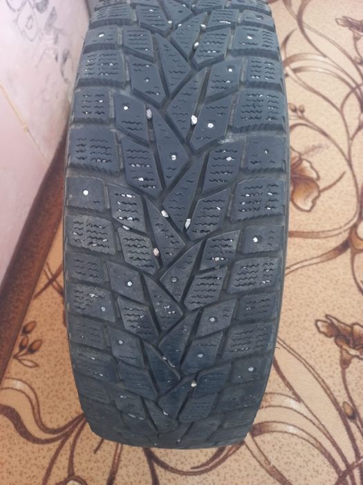 Шины Dunlop