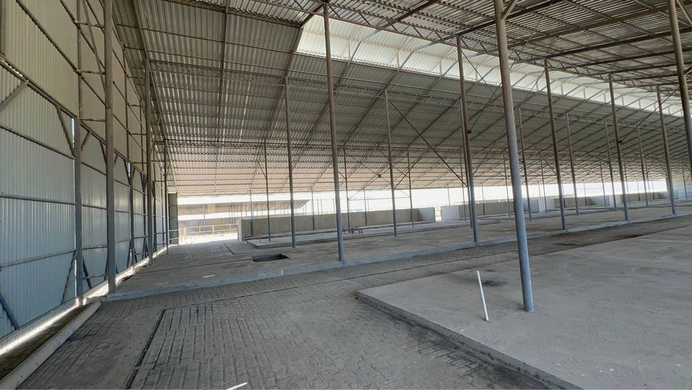 Продается новый Ферма в Бухаре