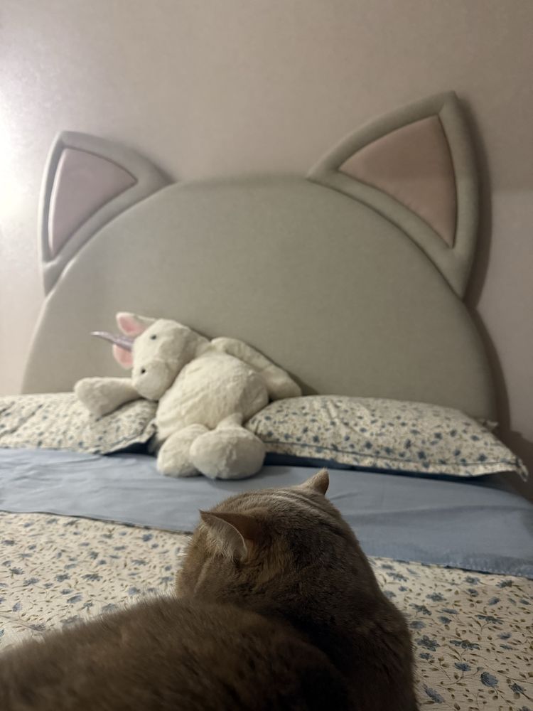 Отдам кота в доюрые руки