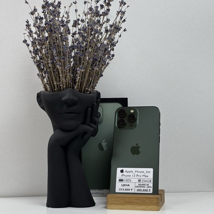 iPhone 13 Pro Max, 256gb