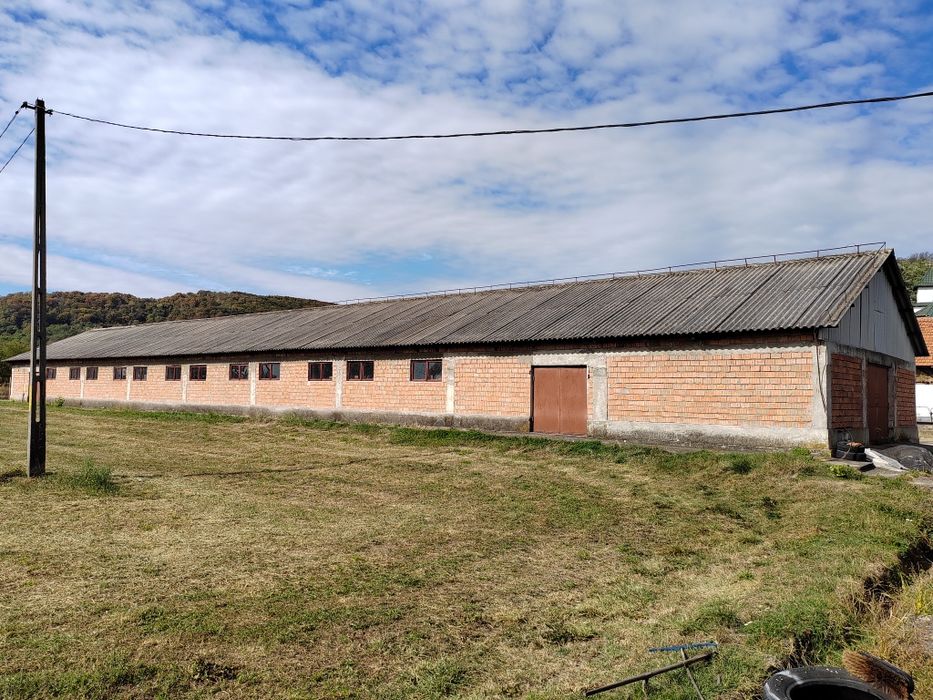 Ferma,spatii, hale de închiriat de vânzare