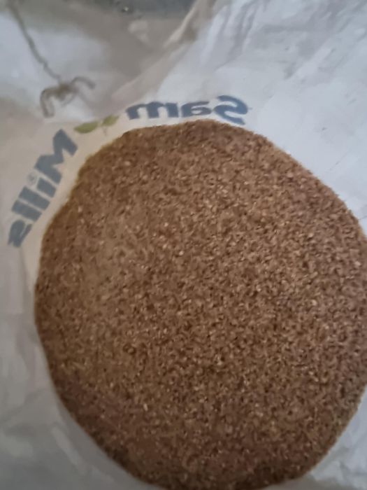 Furaj compos din triticale grau si porumb