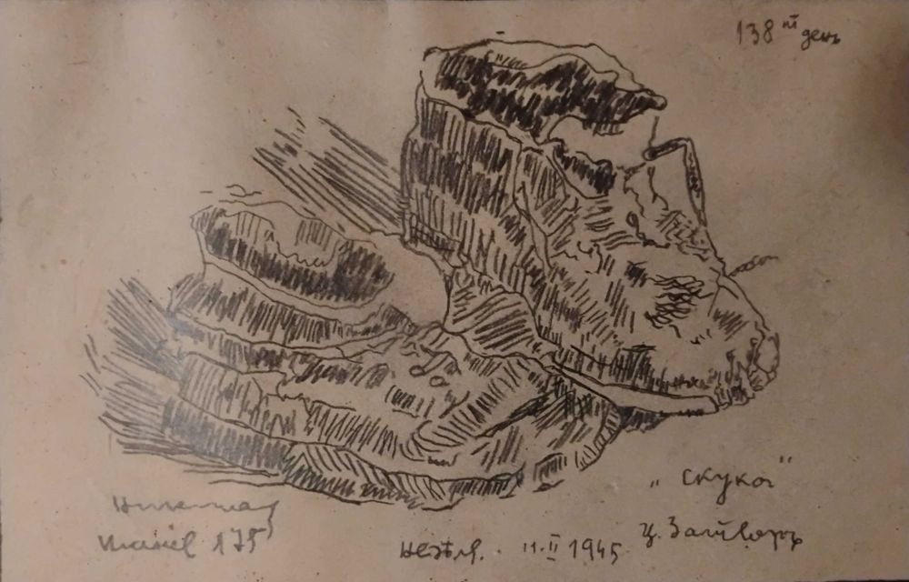 Оригинална картина .  Н . Танев