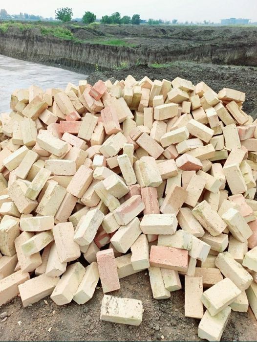 Пишган гишт сонига ва сифатига жавоб берамиз