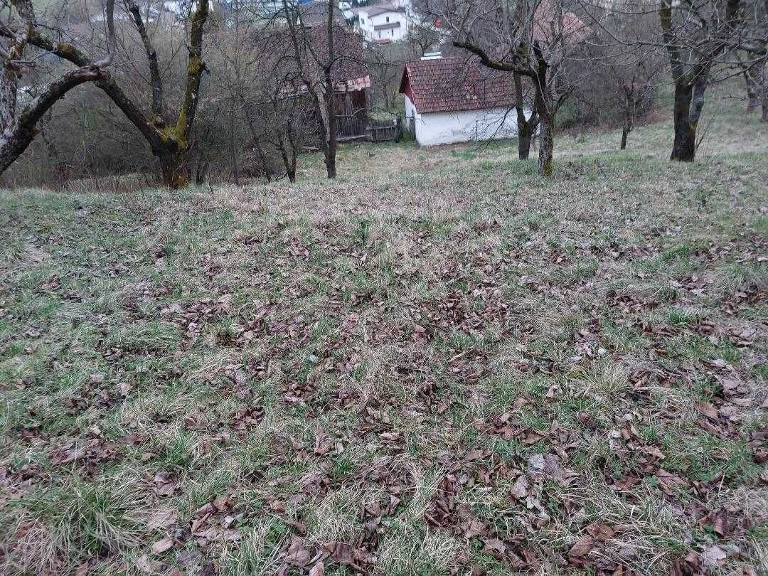 vand teren7ari si casuta str Campului,Valea Jelnei,Bistrita