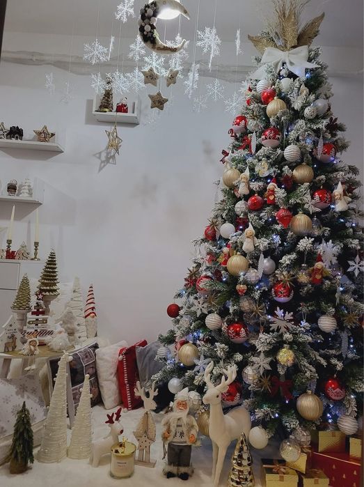 Brad nins de craciun