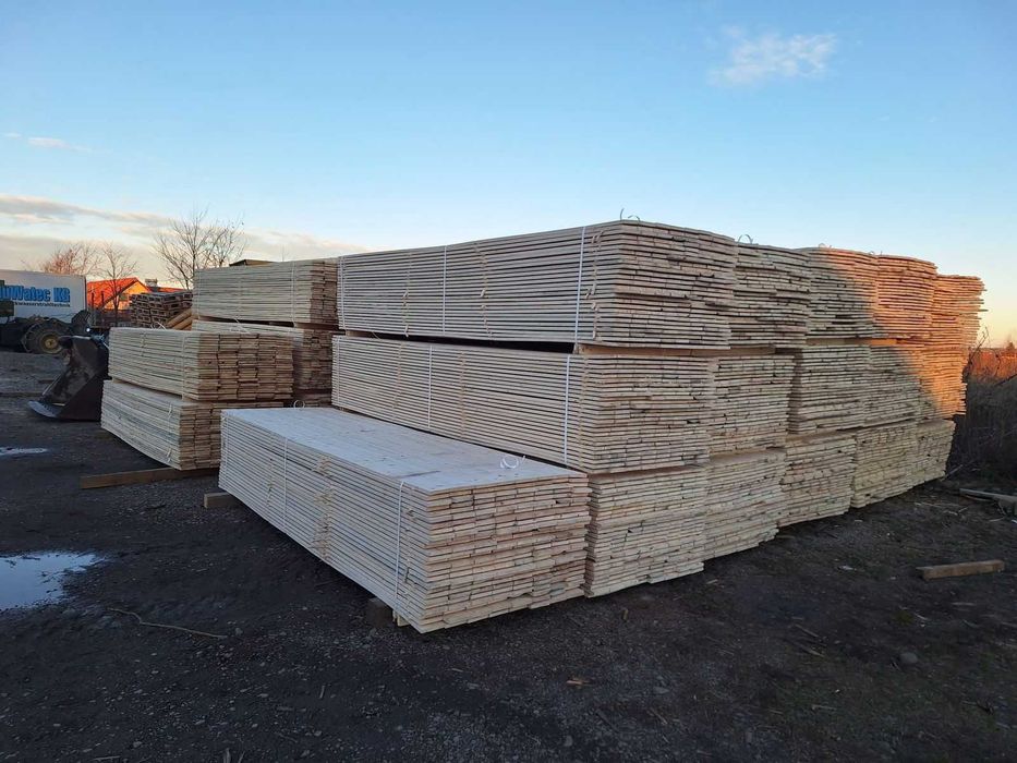 Cherestea, BRAD, Molid, STEJAR, FRASIN, Tei