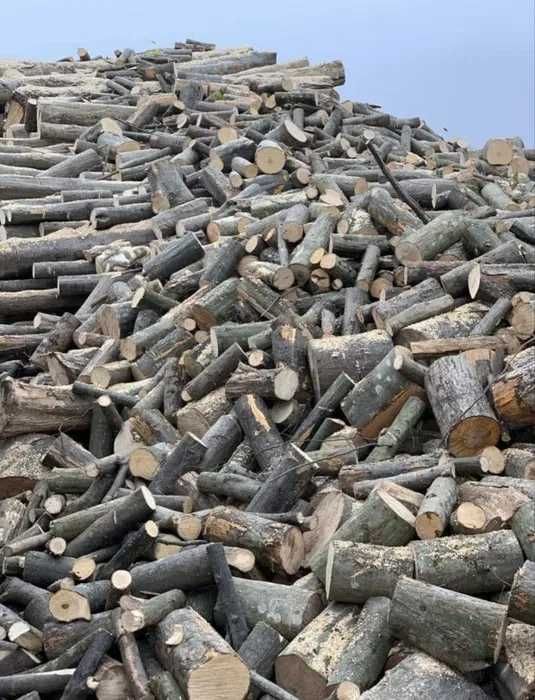 Lemne de foc - esență tare