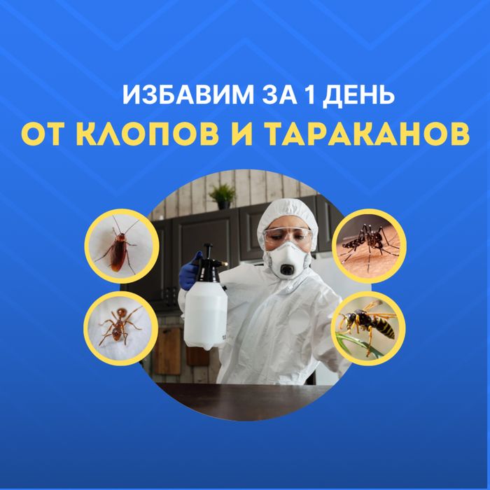 Дезинсекция: избавим от клопов и тараканов за 1 день