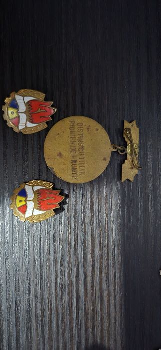 Vand Insigne pionier