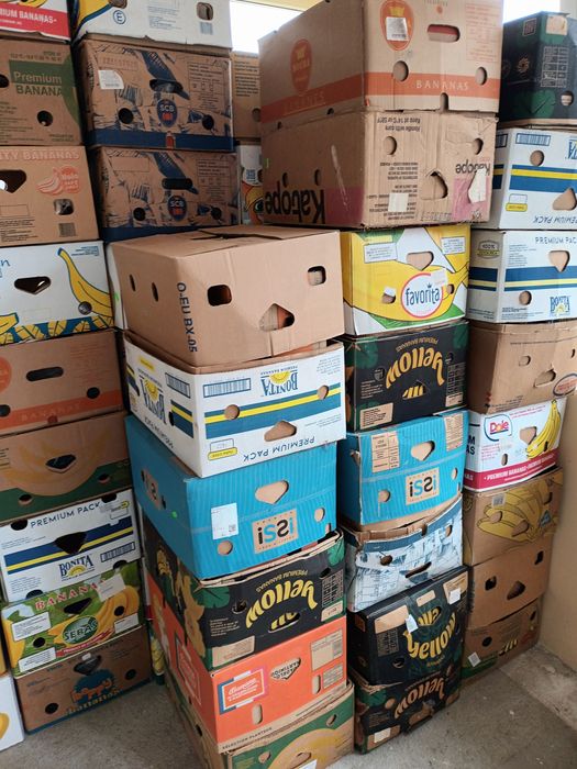 Baxuri banane 100 buc