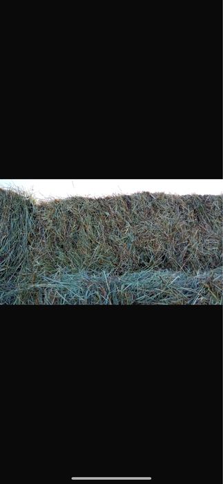 Otava 2025- Baloți dreptunghiulari