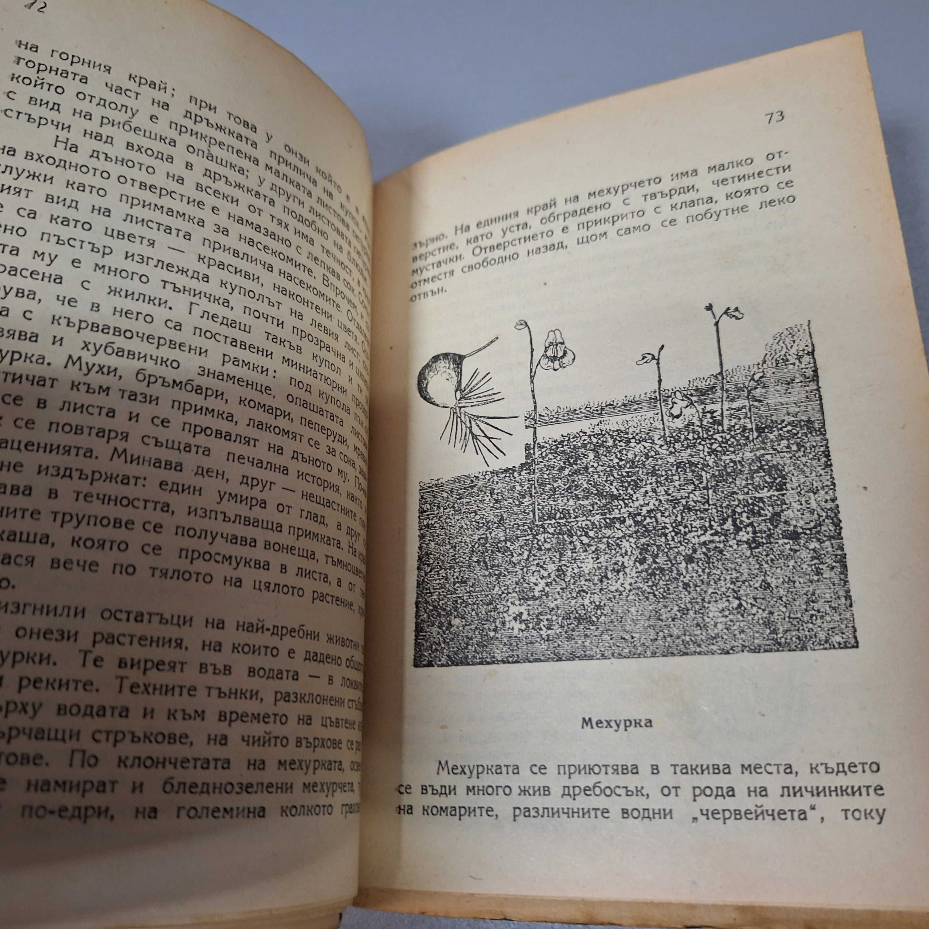 "Борба за живот в природата и разгаданата тайна на природата", 1946 г.